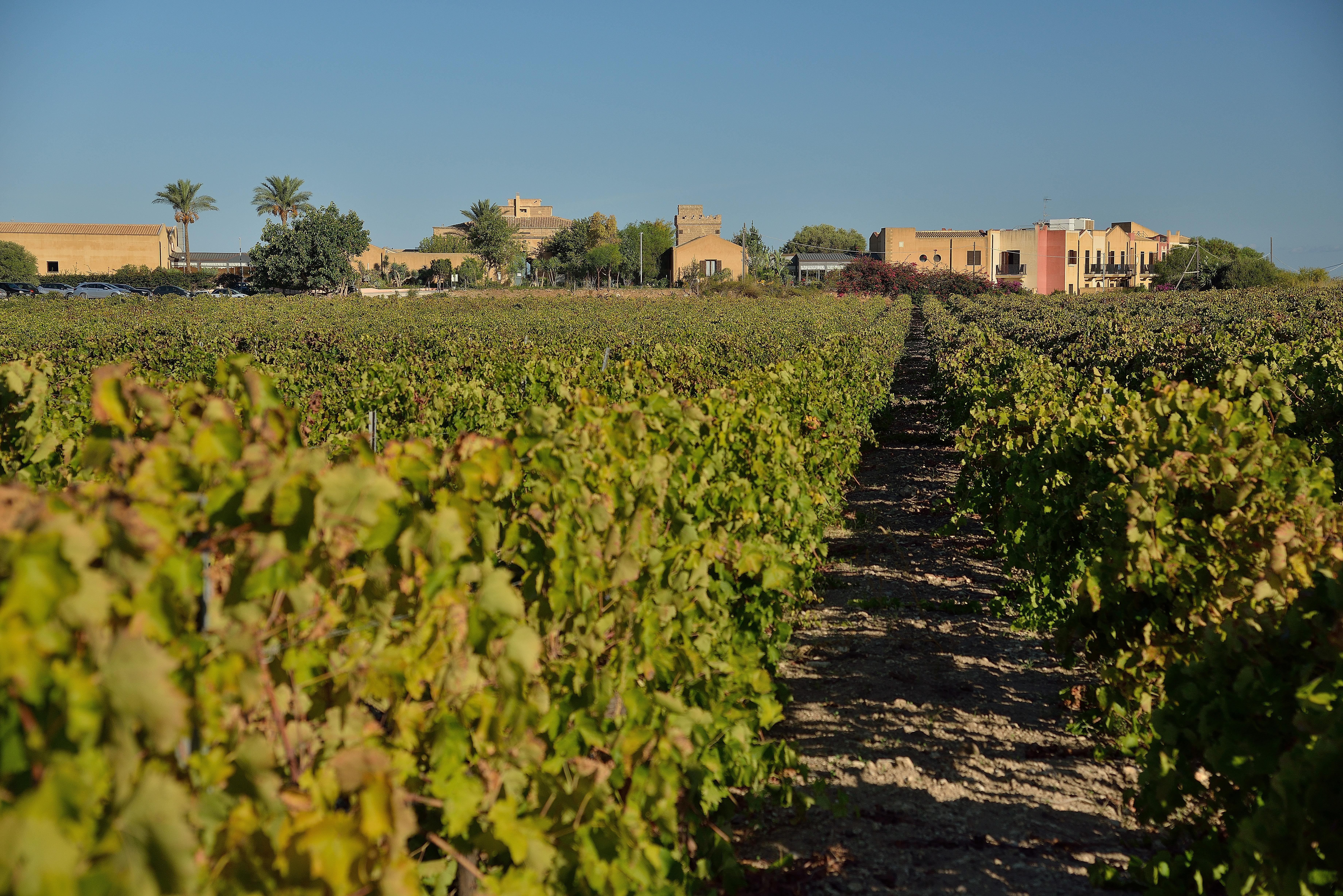 Baglio Oneto Dei Principi Di San Lorenzo - Luxury Wine 5*